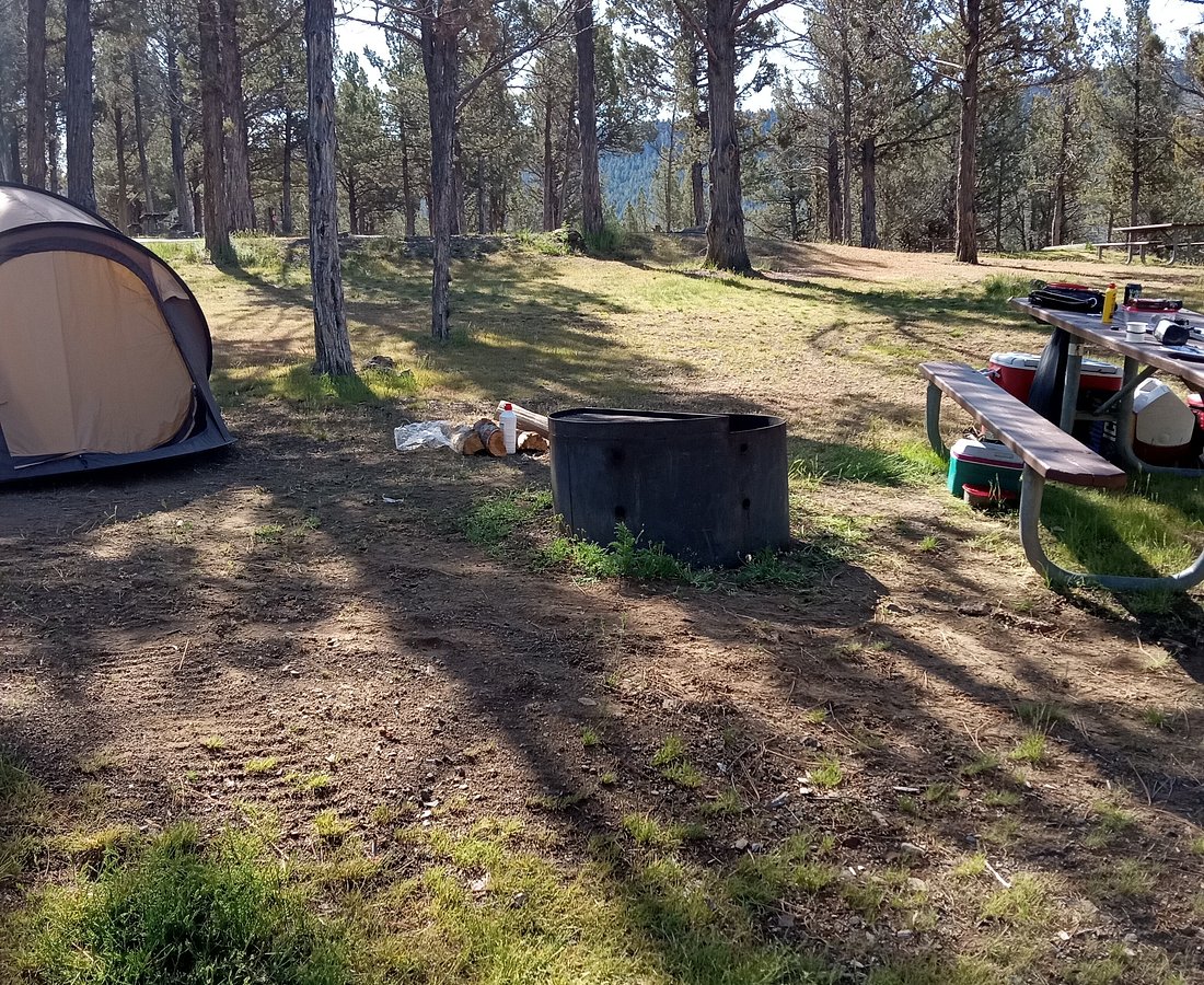 Lakeside spot under ponderosa pines on Ochoco Reservoir