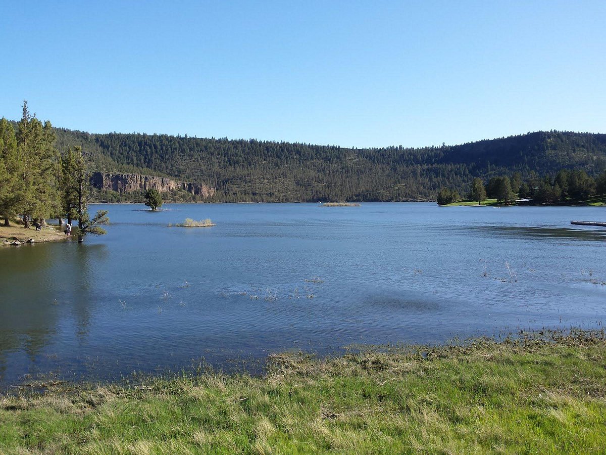 Ochoco Reservoir shoreline near the public boat launch